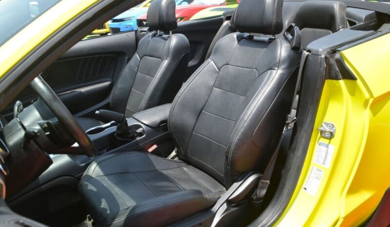 
								Ford Mustang MUSTANG -CONVERTIBLE- ATTRACTIVE SHAPE AND COLOR //IN VERY GOOD CONDITION full									