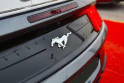 
										Ford Mustang CONVERTIBLE IN REASONABLE PRICE full									