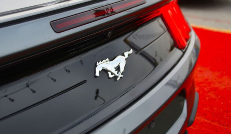 
								Ford Mustang CONVERTIBLE IN REASONABLE PRICE full									