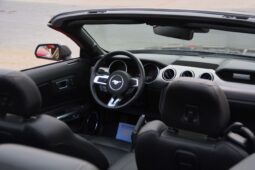 
										Ford Mustang CONVERTIBLE IN REASONABLE PRICE full									