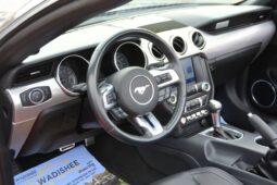 
										Ford Mustang CONVERTIBLE IN REASONABLE PRICE full									