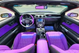 
										Ford Mustang GT Premium 5.0L V8 full									