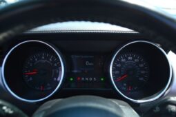 
										Ford Mustang EcoBoost Premium 2.3L Convertible A/T PREMIUM CONVERTIBLE WITH FULL KIT SHELBY full									