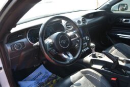 
										Ford Mustang GT Premium 5.0L V8 full									