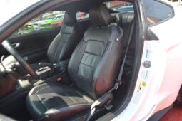 
										Ford Mustang GT Premium 5.0L V8 full									