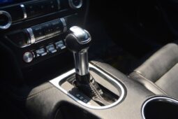 
										Ford Mustang GT Premium 5.0L V8 full									