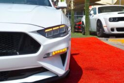 
										Ford Mustang GT Premium 5.0L V8 full									